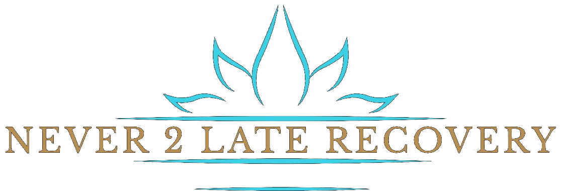Never 2 Late Recovery