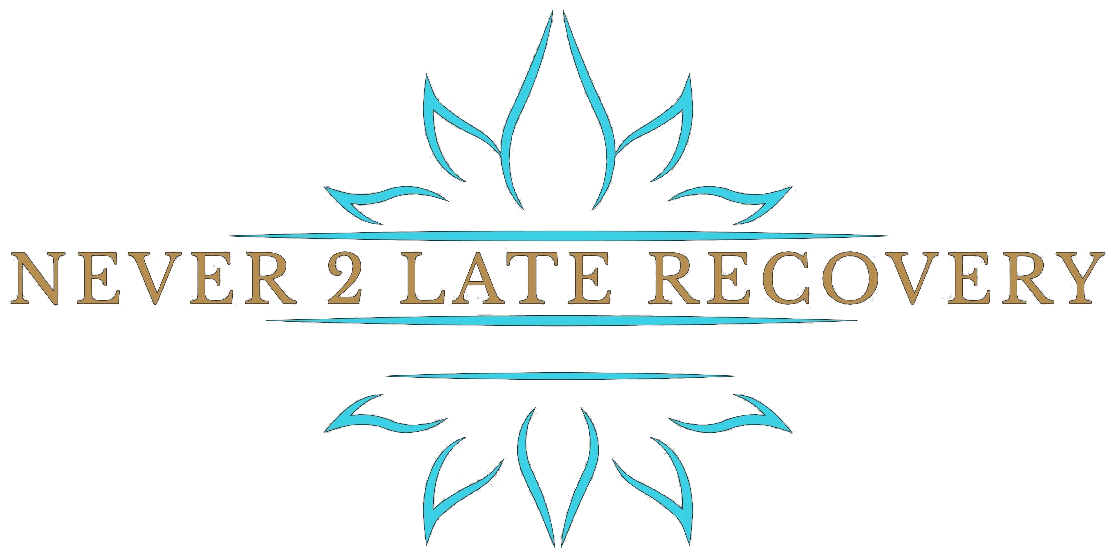 Never 2 Late Recovery